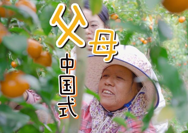 PG PG电子 APP中国家长“愧疚式教育”吃糠咽菜家用电器成摆设娃无力又反感(图9)