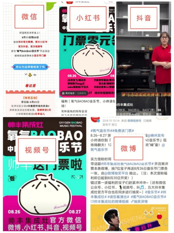 谁是集成灶行业的“整活儿”大王？帅丰电器独家冠名氧气BAOBAO音乐节PG电子网站 PG电子(图2)